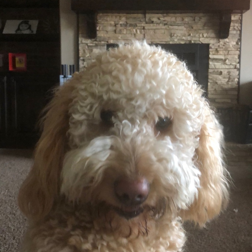 Meet your Posher, Jaclyn